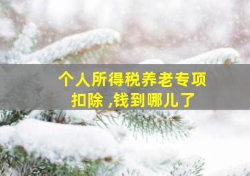 个人所得税养老专项扣除 ,钱到哪儿了